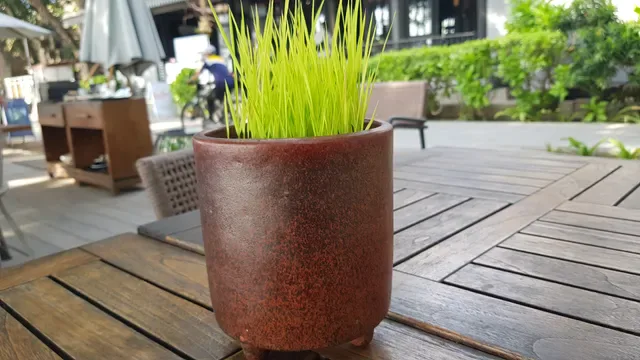 Kayumanis Seaside Restaurant Sanur