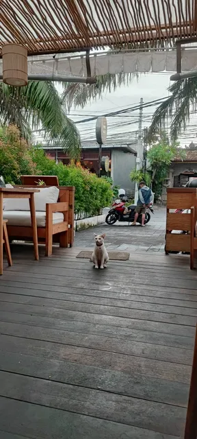 Okaeri Japanese Restaurant, Sanur Bali
