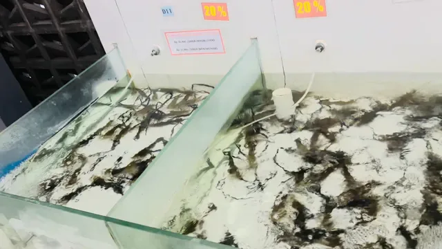 Sentosa Seafood Serangan Bali
