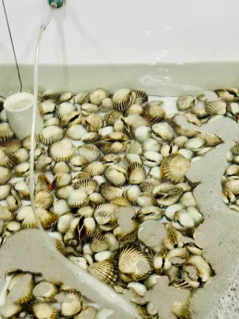 Sentosa Seafood Serangan Bali