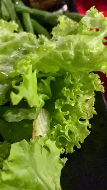 Sukiyaki 8