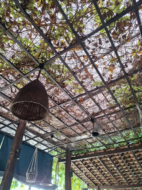 Veranda Cafe