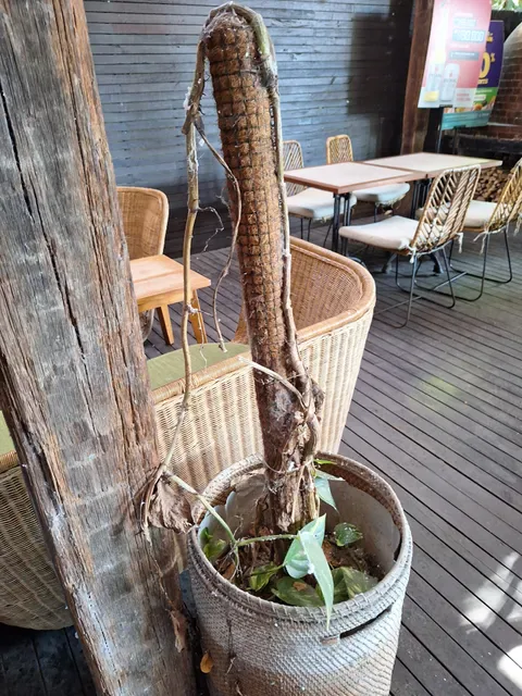 Veranda Cafe