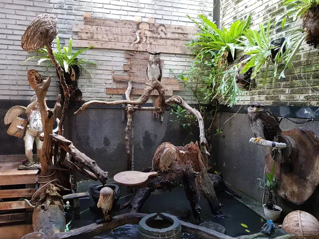 Mawar Segara