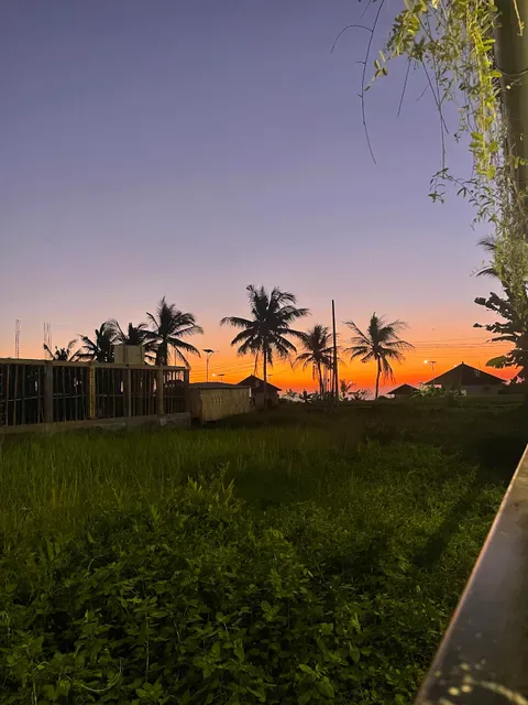 The Swell Hotel