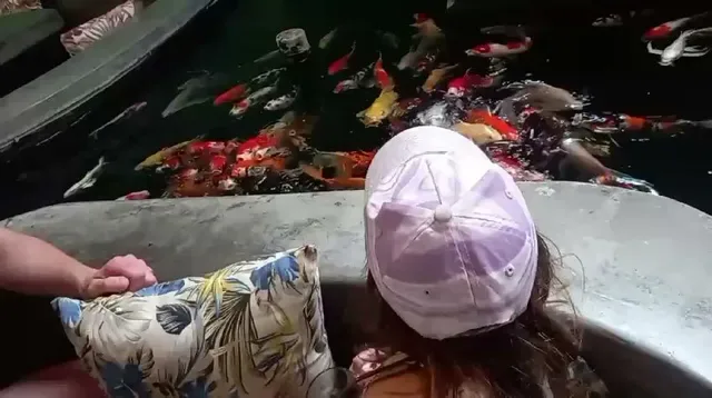 PisagaNakal