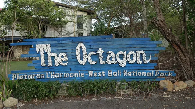 The Octagon Ocean Club