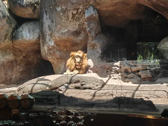 Tsavo Lion Restaurant