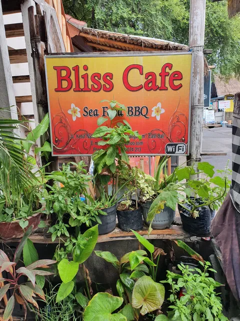 Bliss Cafe