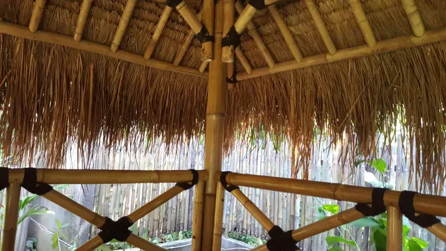 Galanga