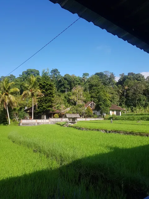 Good Karma Warung and Homestay