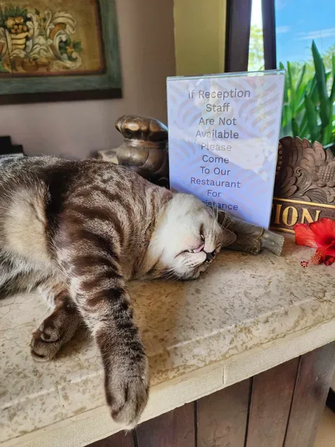 Life in Amed Bali Boutique Hotel