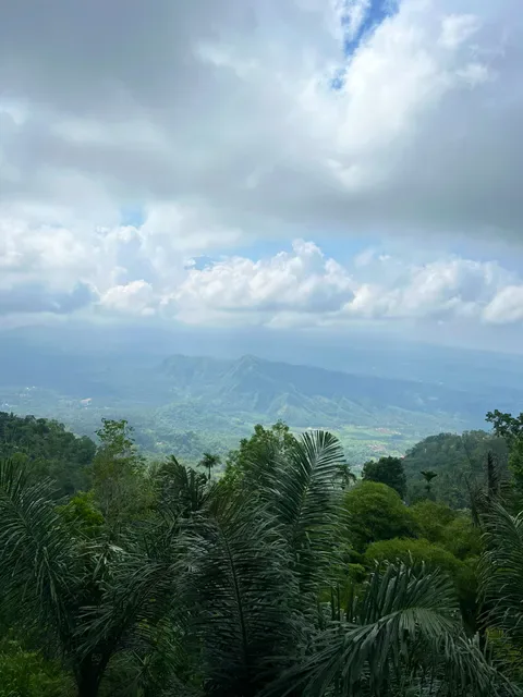 view point resto