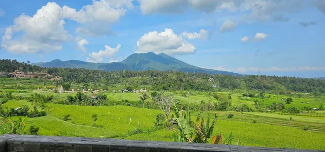 Warung Damar