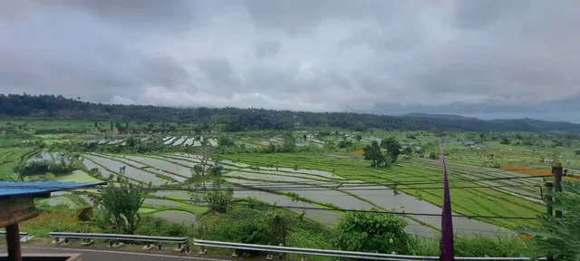 Warung Damar