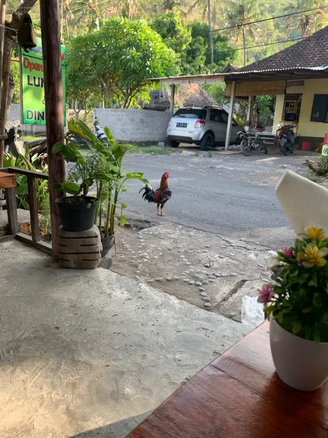 warung dodo