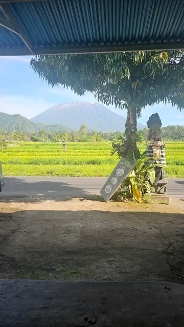 Warung Han's Bamboo