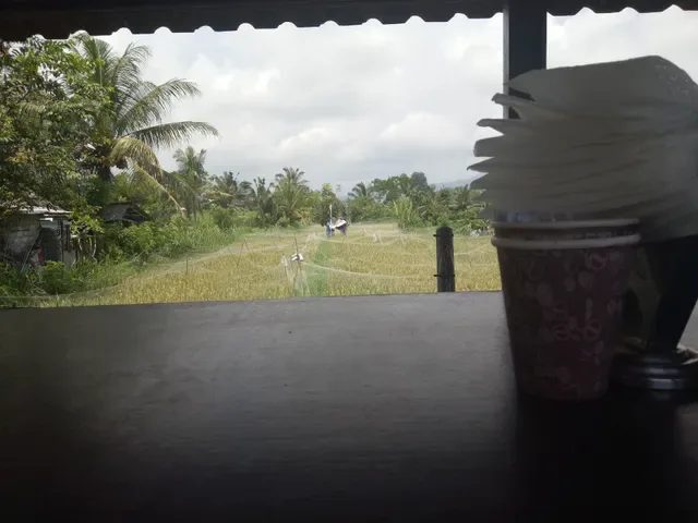 Warung Mina Sari Murti