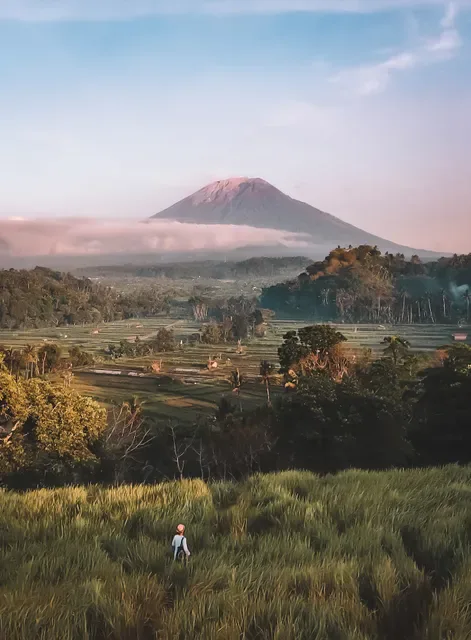 Bali Asli Restaurant