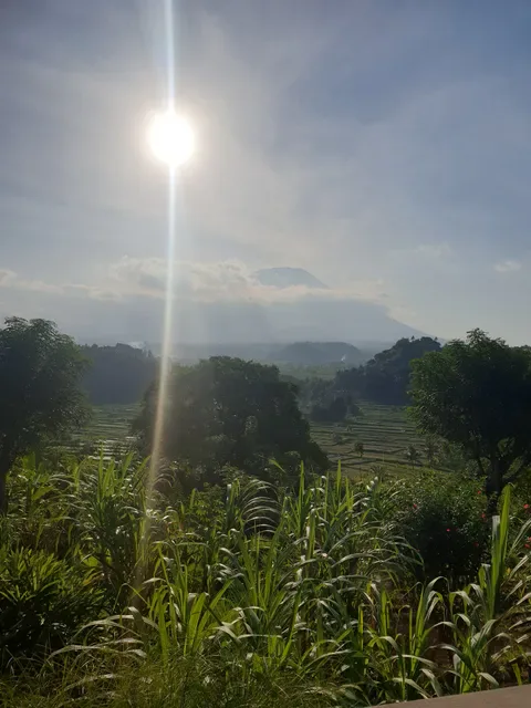 Bali Asli Restaurant