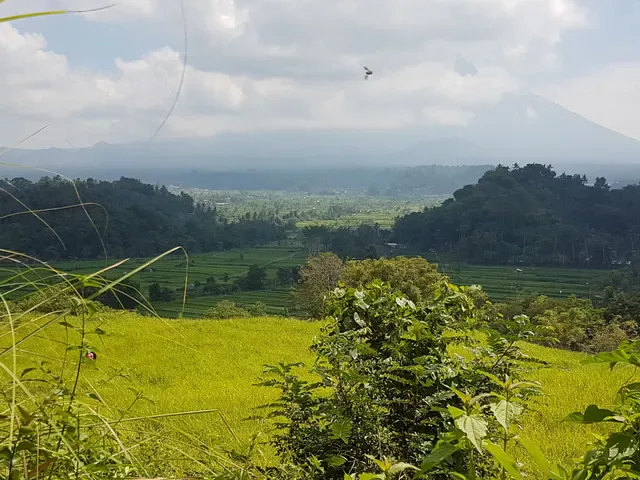 Bali Asli Restaurant