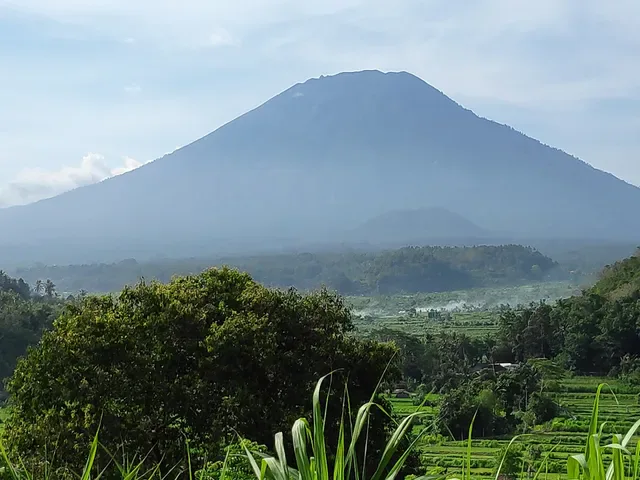 Bali Asli Restaurant