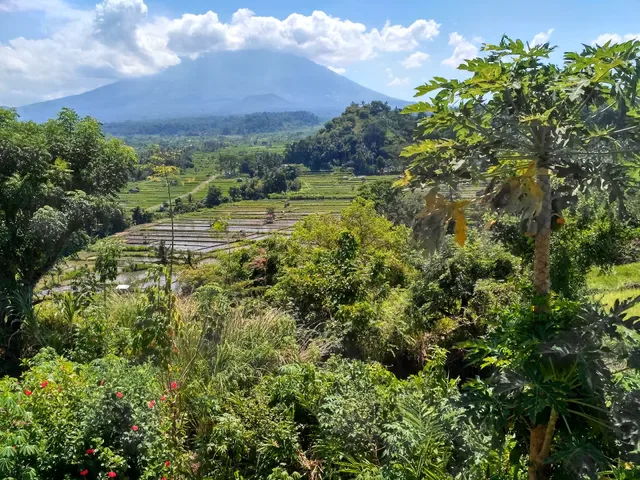 Bali Asli Restaurant