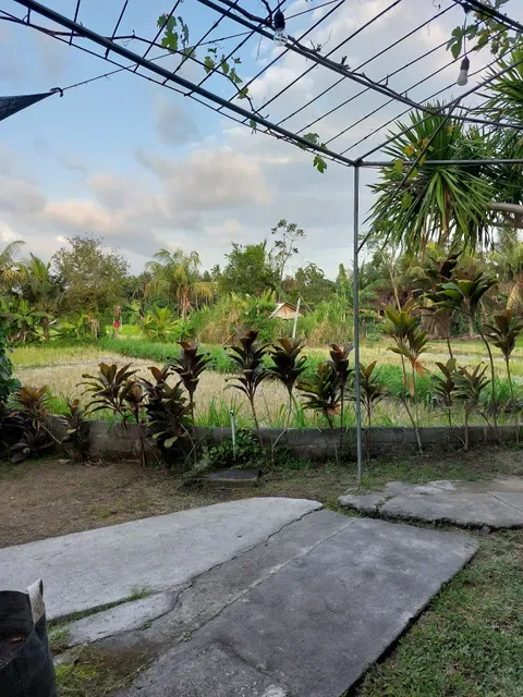 Warung Lesehan Mina Carik