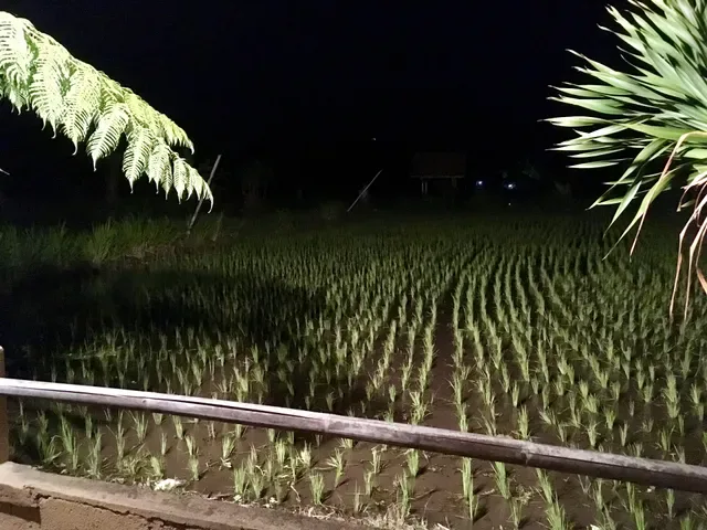 Warung Lesehan Mina Carik
