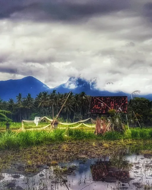 Warung Lesehan Mina Carik