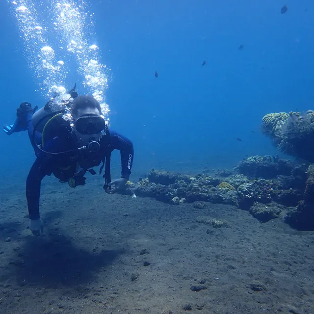 Puri Madha Dive Resort