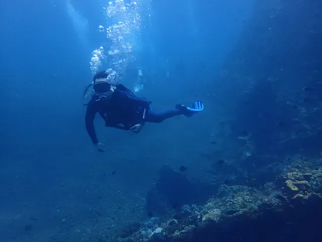 Puri Madha Dive Resort