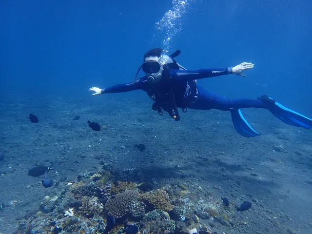Puri Madha Dive Resort