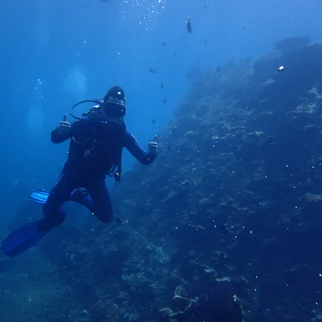 Puri Madha Dive Resort