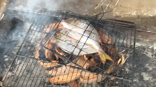 Warung Sari Laut