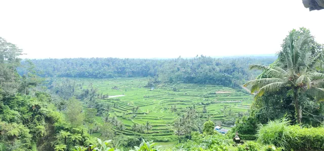 Mahagiri Panoramic Resort & Restaurant