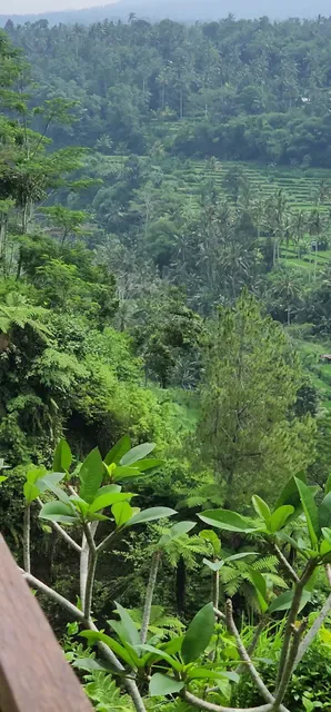 Mahagiri Panoramic Resort & Restaurant