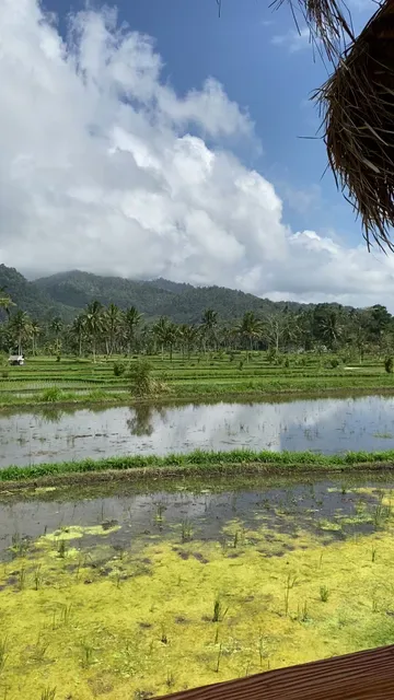 Waroeng Hokki