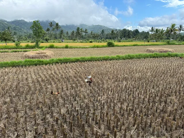 Waroeng Hokki