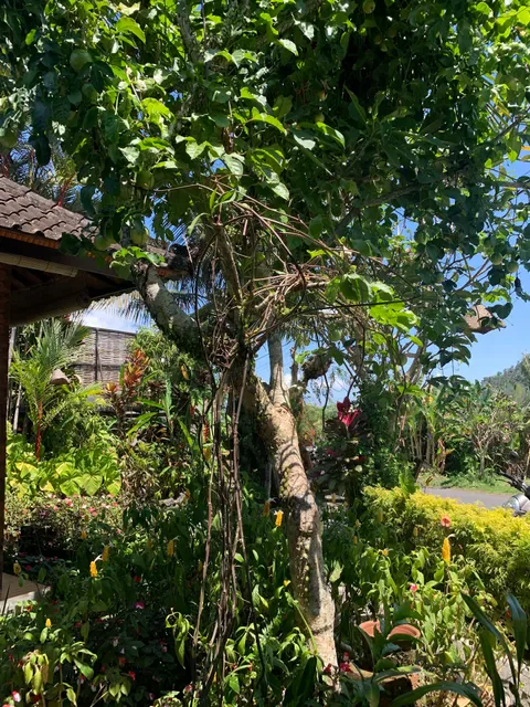 Radha Warung