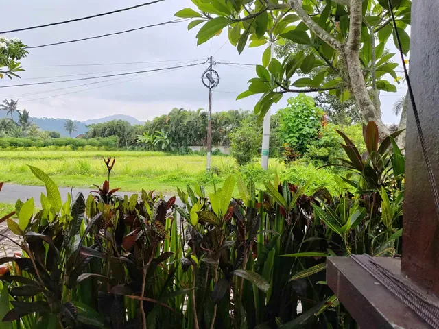 The Bukit Artha Warung & Home Stay