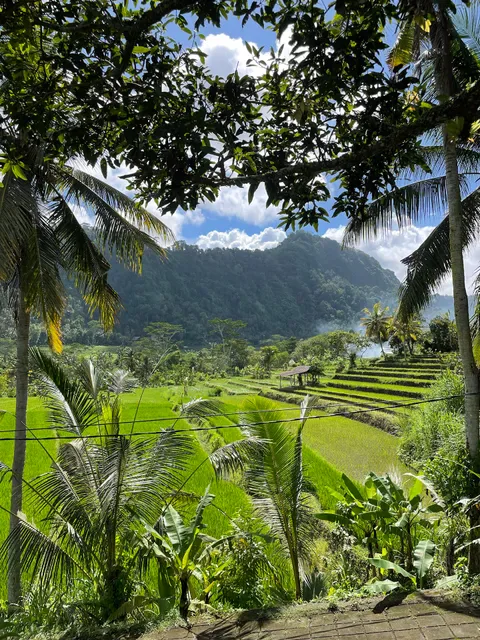 Warung Cepik - Organic Food