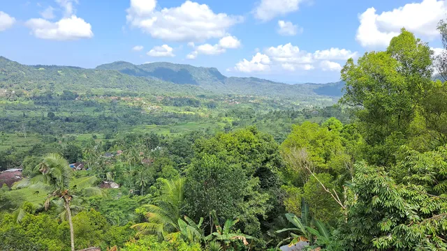 Warung Makan Dwijayanti
