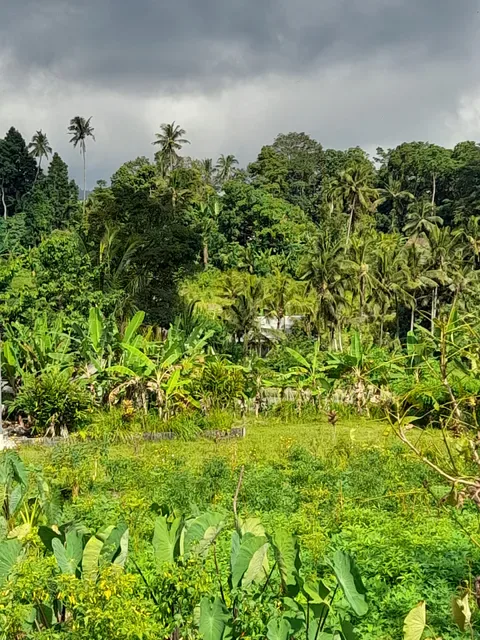 Warung Tirta Unda