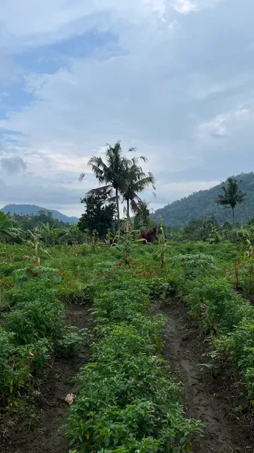 Warung Tirta Unda