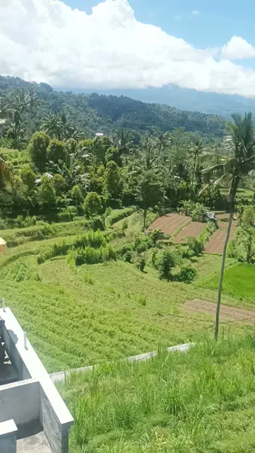 Warung Ume Anyar