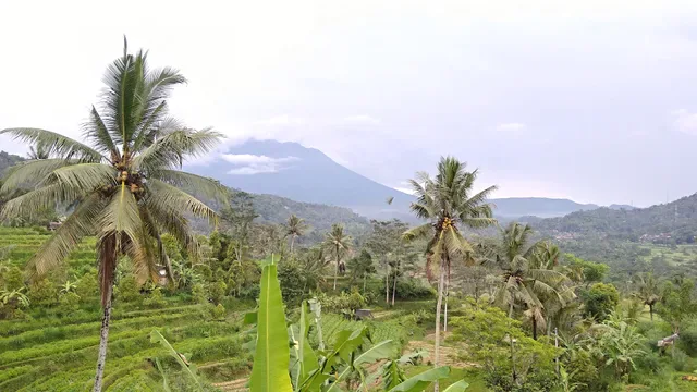 Warung Ume Anyar