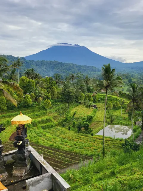 Warung Ume Anyar