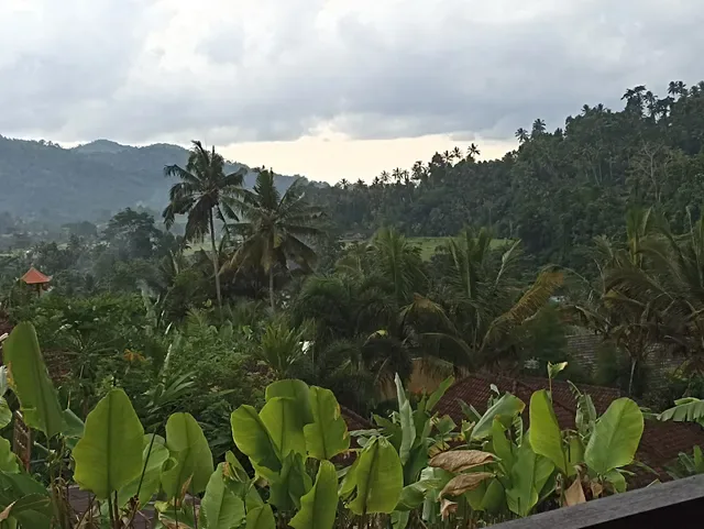 Wisma Bojana ( Warung )