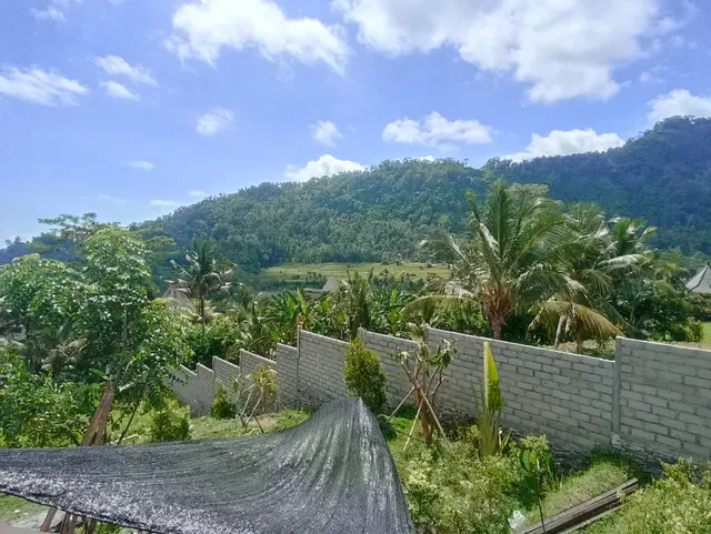 Wisma Bojana ( Warung )